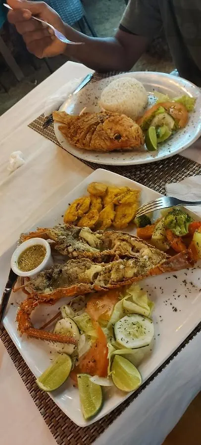 Lägenhet Cabarete Condo Moosa
