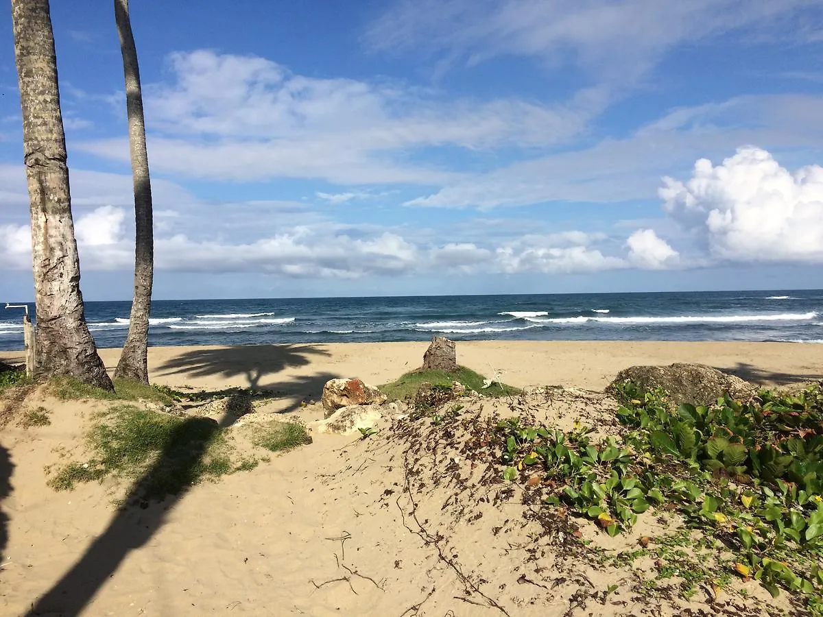 Cabarete Condo Moosa